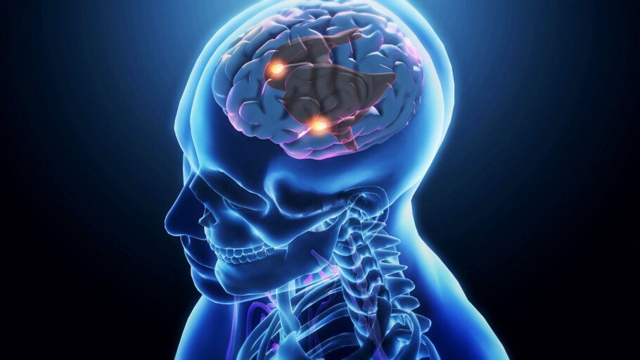 Através de uma abordagem de neuroimagem computacional, pesquisa observa que aceitação e rejeição ativam diferentes áreas do cérebro