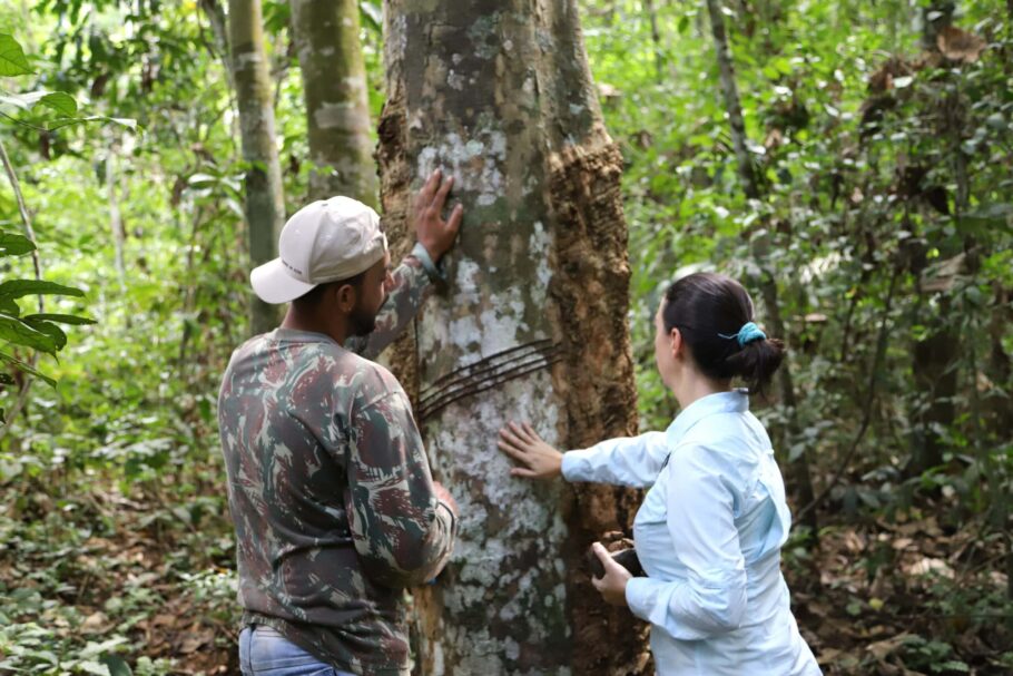 Mergulhe na rica cultura e natureza da Amazônia acreana