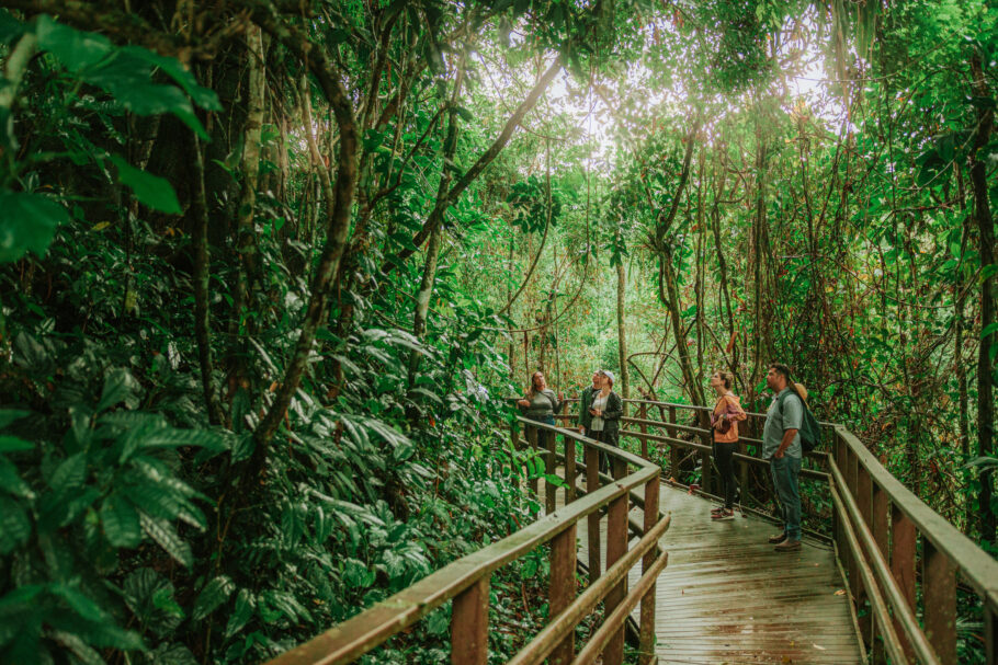 Fazenda Bananal oferece experiências lúdicas e educativas na floresta e trilhas