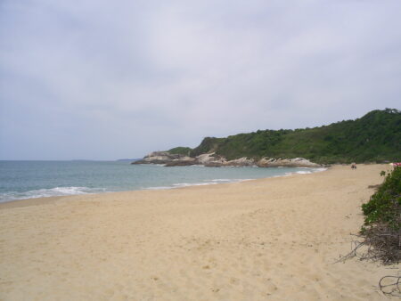 O Brasil possui ao todo 8 praias de nudismo, entretanto a primeira e mais conhecida é a Praia do Pinho.