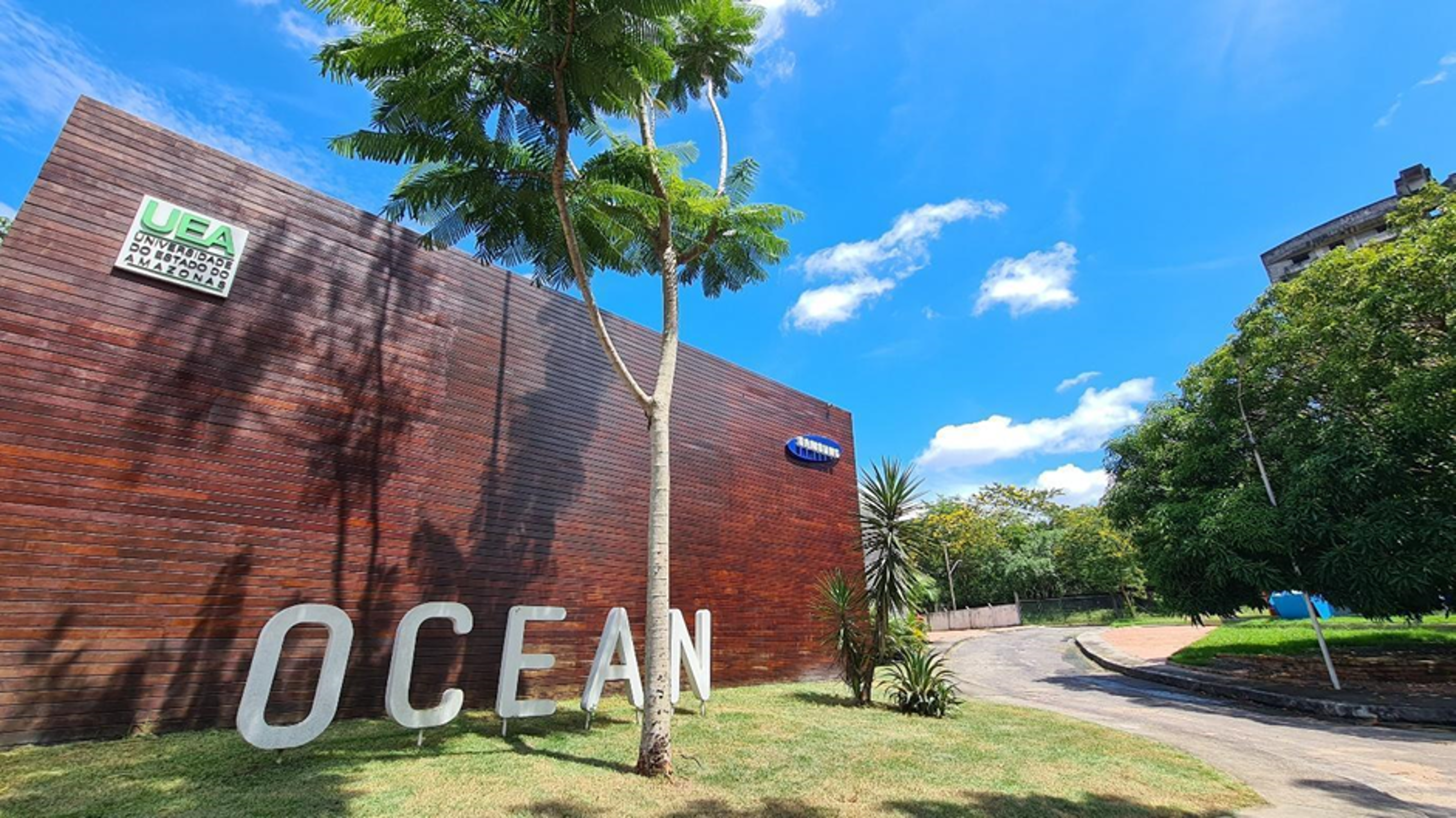 Samsung Ocean abre agenda de 2025 com cursos gratuitos