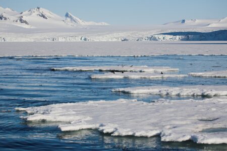 Localizado no extremo oposto da Antártica, no polo norte, o Ártico está na lista de maiores desertos do mundo.