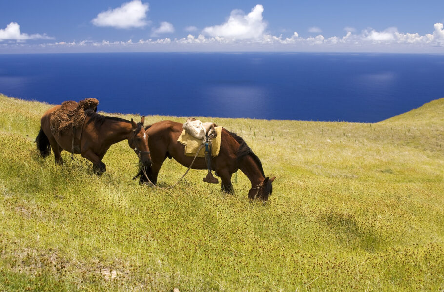 Vulcão Ma’unga Terevaka, que proporciona uma vista panorâmica de 360 graus de toda Rapa Nui