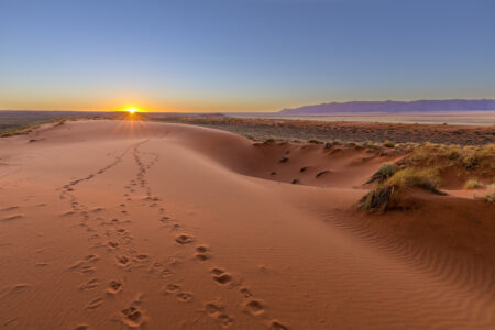 Localizado no sul da África, o Deserto de Kalahari possui 900.000 km² de extensão.