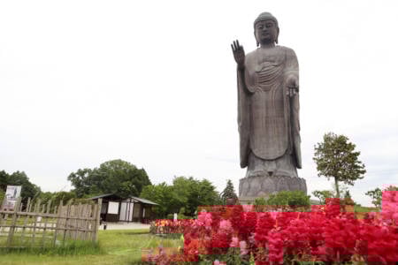 Ushiku, Japan – May 28, 2019: The Great Buddha Ushiku Daibutsu statue is loacated Ibaraki Prefecture, Japan.