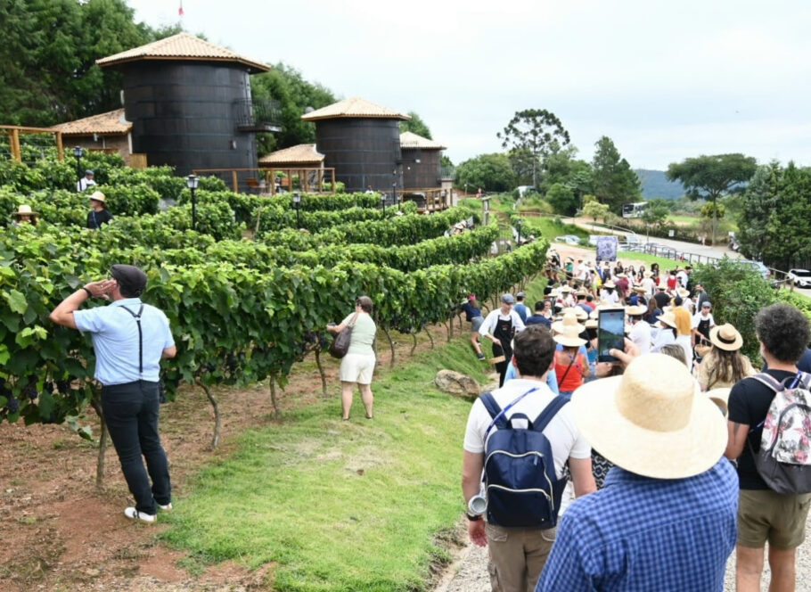 Vinícolas paulistas oferecem experiências imersivas para celebrar nova safra de vinhos