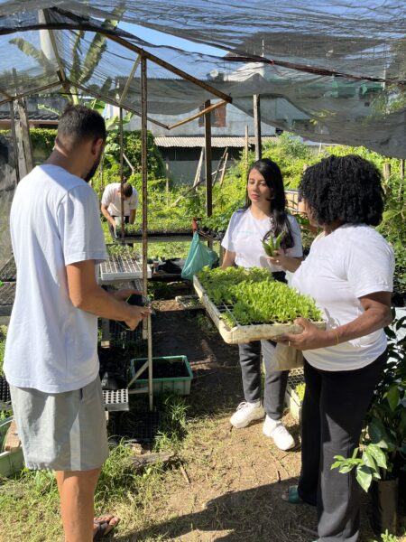 O projeto Telhado Verde Agroecológico está há sete anos no bairro Engenho da Rainha, zona norte do Rio de Janeiro.