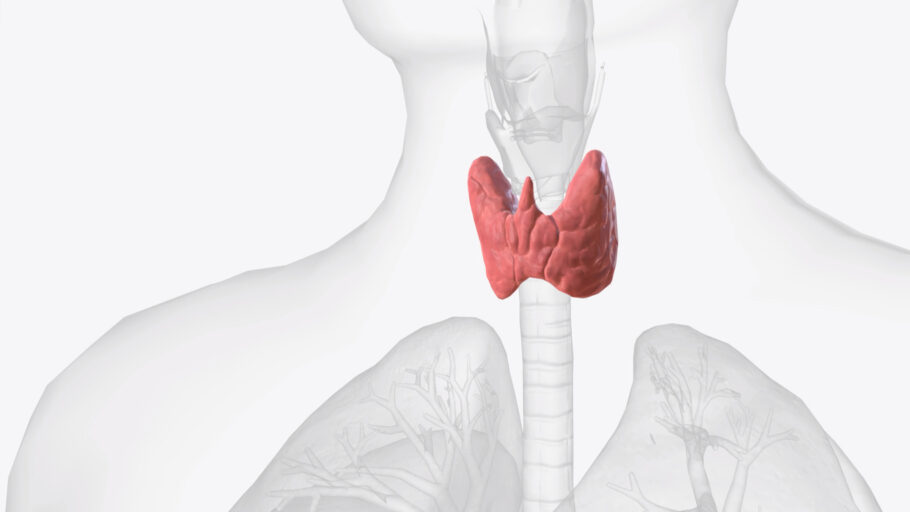 Problemas na tireoide podem causar variados sintomas