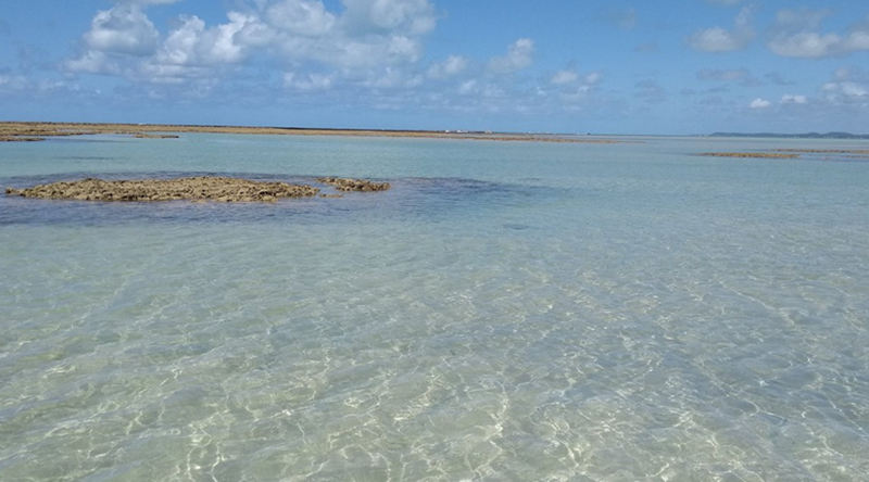 Praia do Xaréu