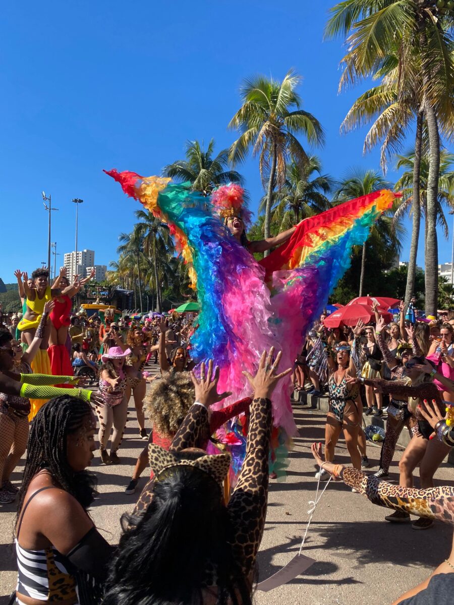 Amigos da Onça, desfile 2024