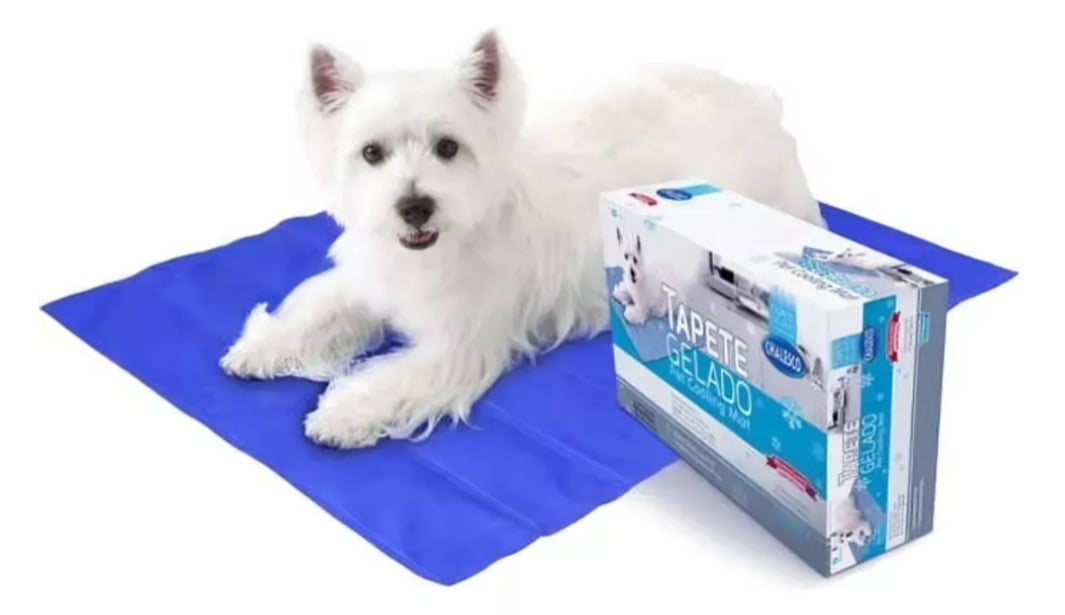 Aproveite os descontos de até 70% nos produtos para os pets