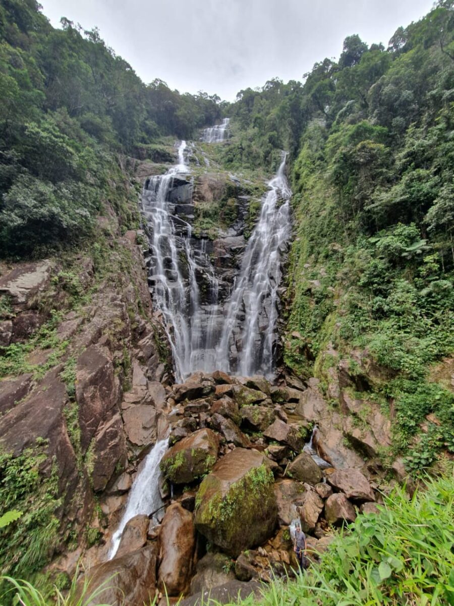 Picinguaba