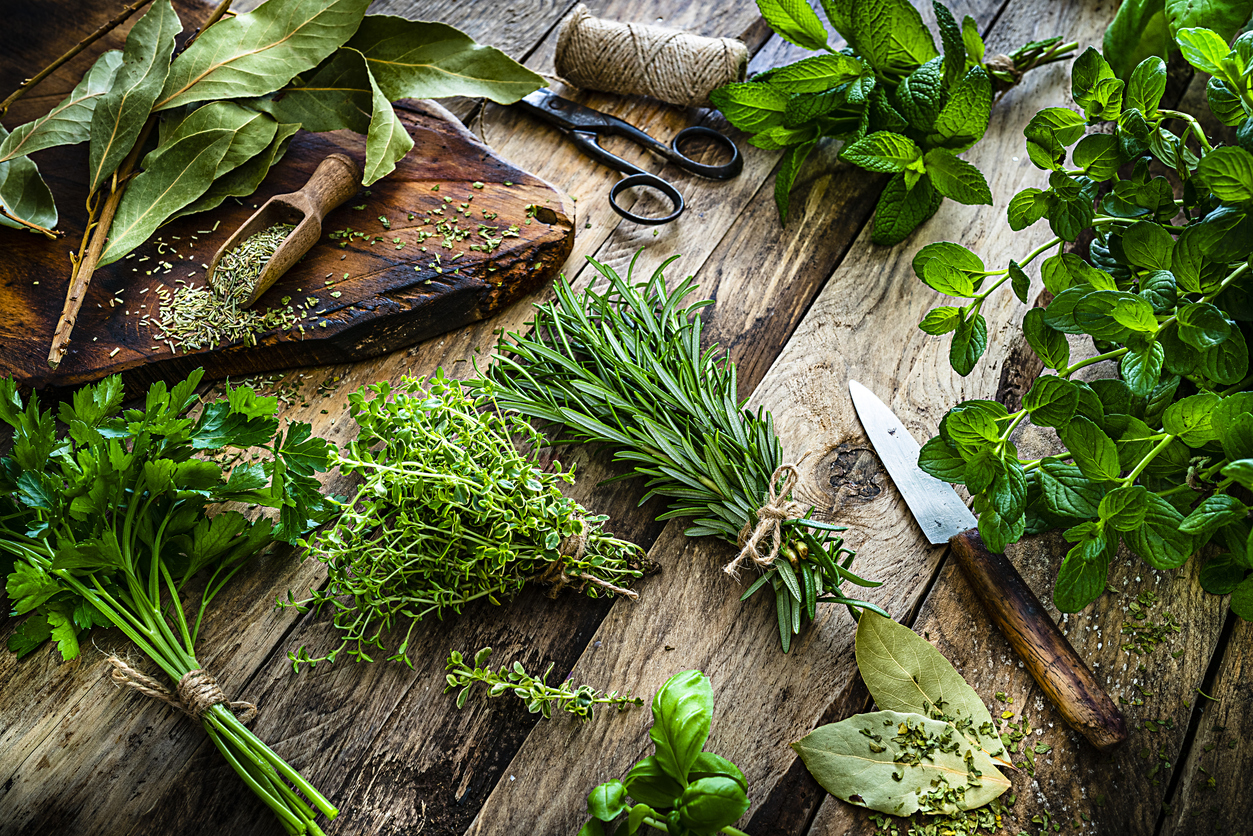 o estudo, que teve como objeto de estudo as propriedades do manjericão e orégano, reforça a importância da utilização de temperos naturais – iStock/fcafotodigital