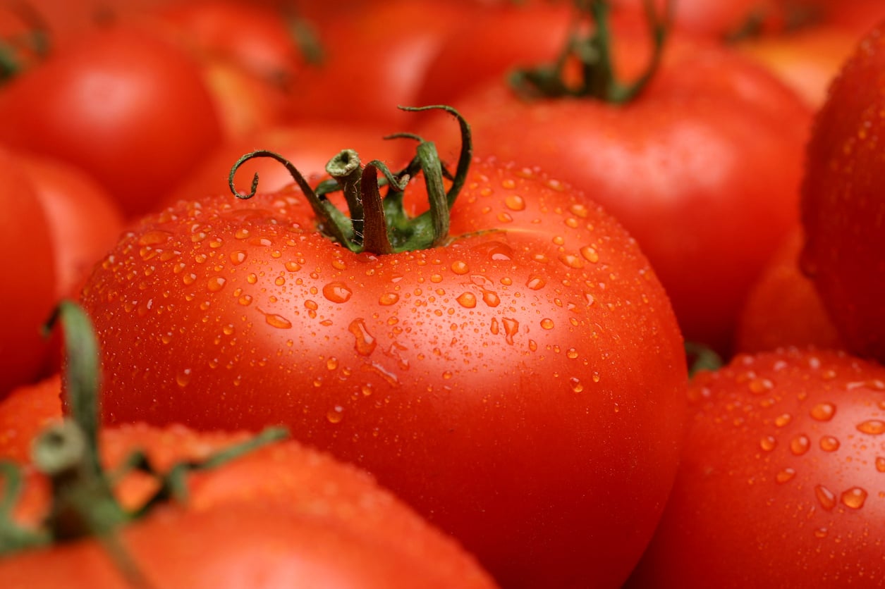O tomate e seus derivados são fontes ricas de licopeno, um composto com possíveis benefícios para a saúde mental.