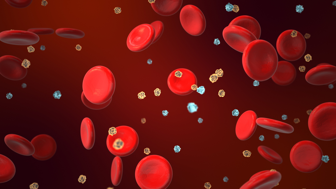 Versáteis e saborosos, os cogumelos brancos oferecem benefícios surpreendentes para o corpo e a mente.