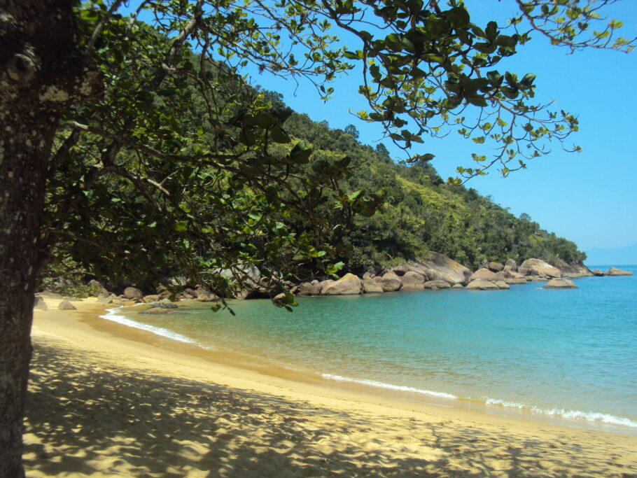 Trilha da Praia do Sul na Ilha Anchieta