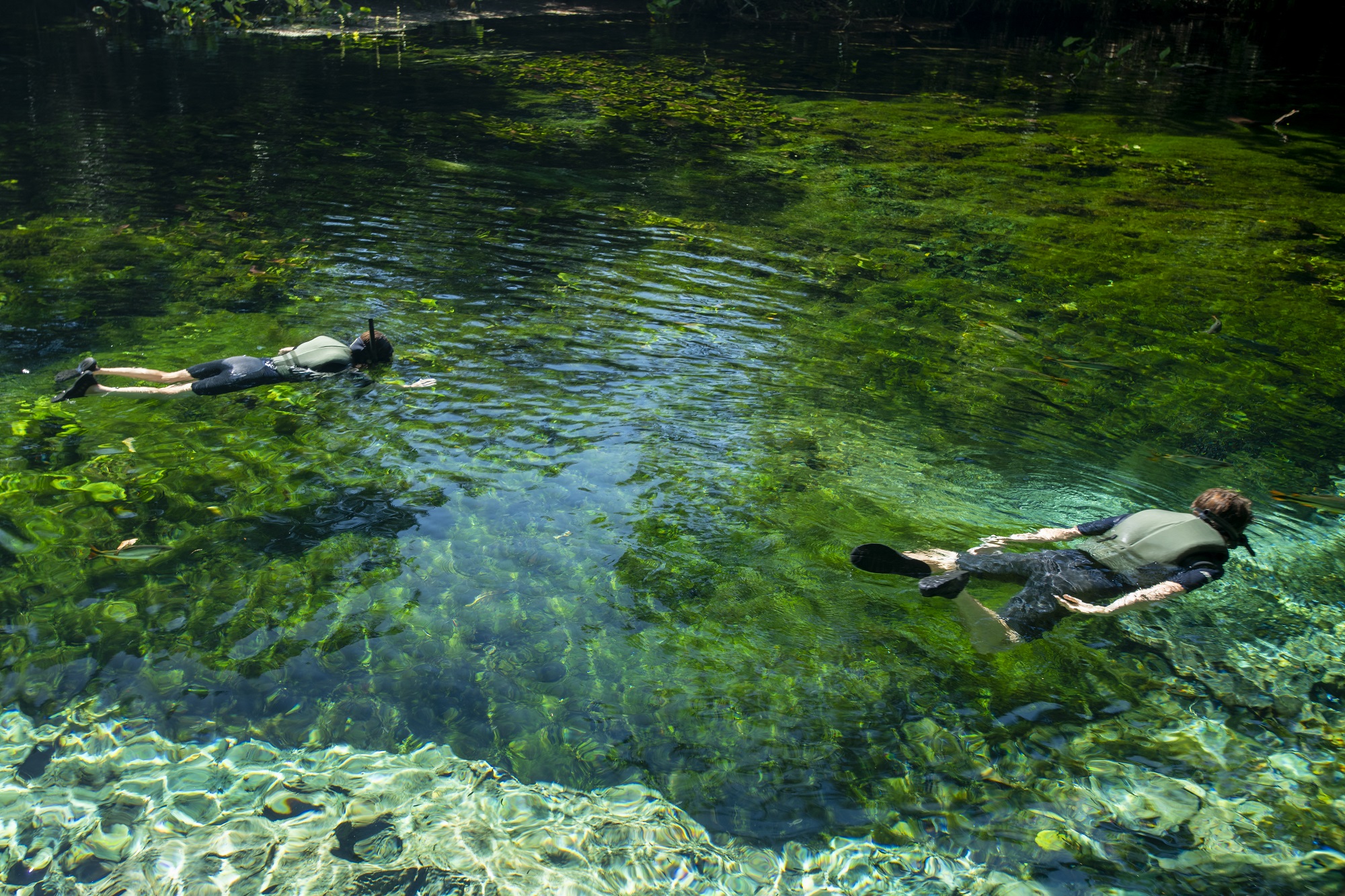 Aquário Natural é ideal para quem viaja com crianças, idosos ou pessoas com mobilidade reduzida