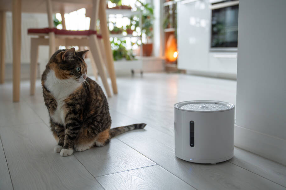 Ter uma fonte de água em casa atrai riqueza