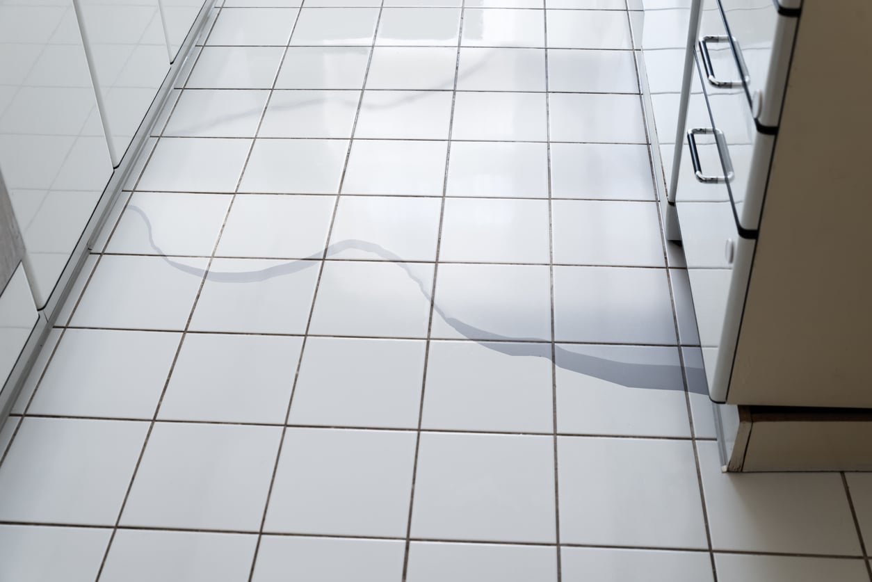 Geladeira vazando água? Saiba o que pode estar acontecendo e como resolver