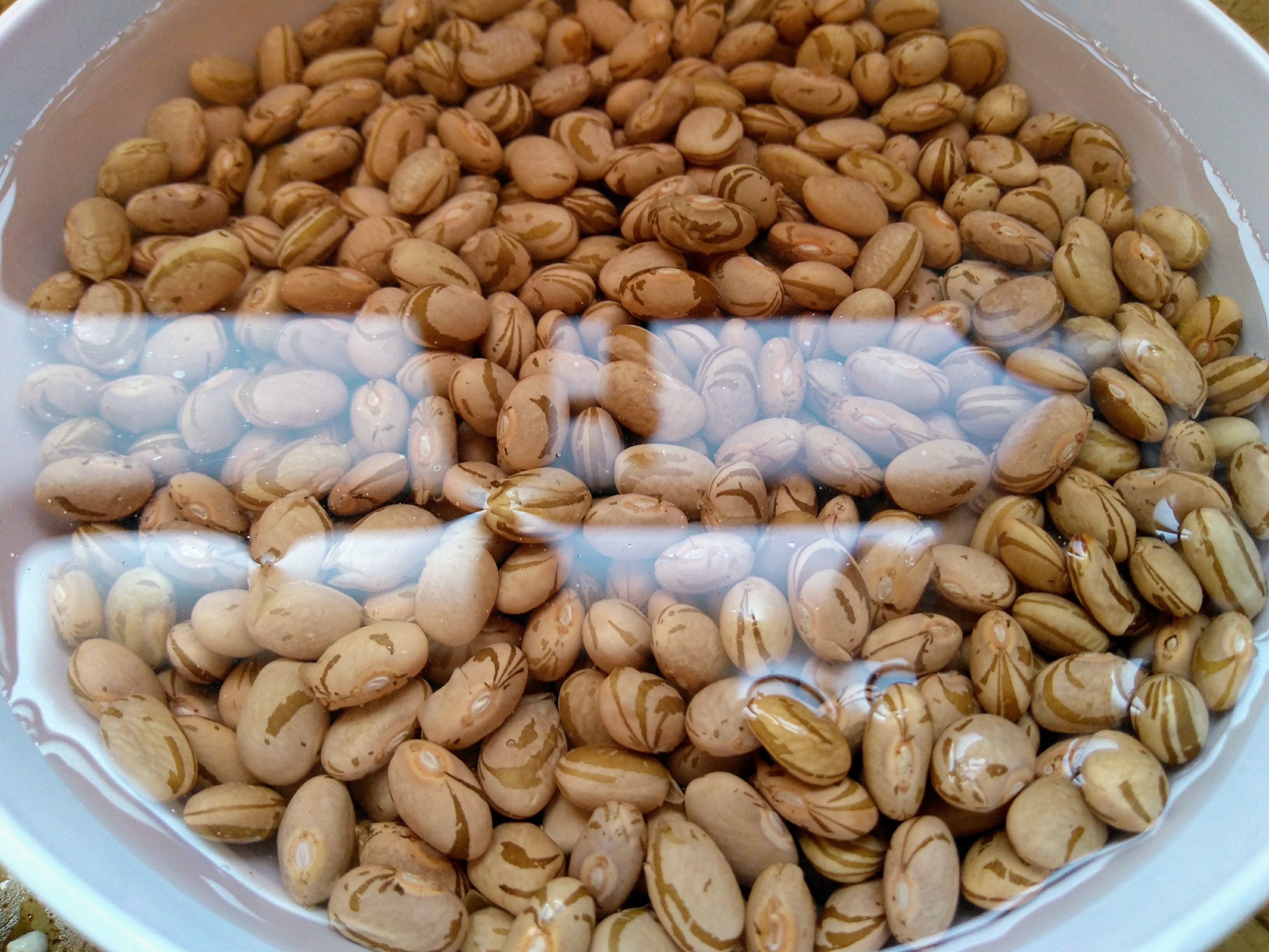 Deixe de molho por 8 a 12 horas, trocando a água pelo menos uma vez nesse período