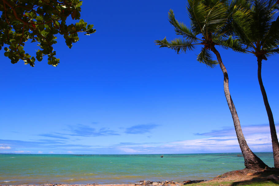 Ponta Verde, Maceió Alagoas