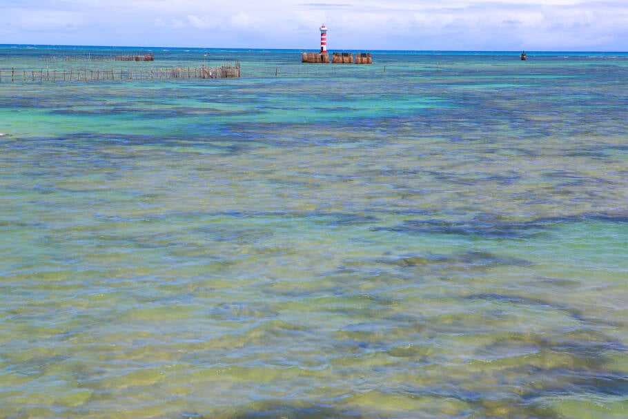 Ponta Verde Maceió Alagoas