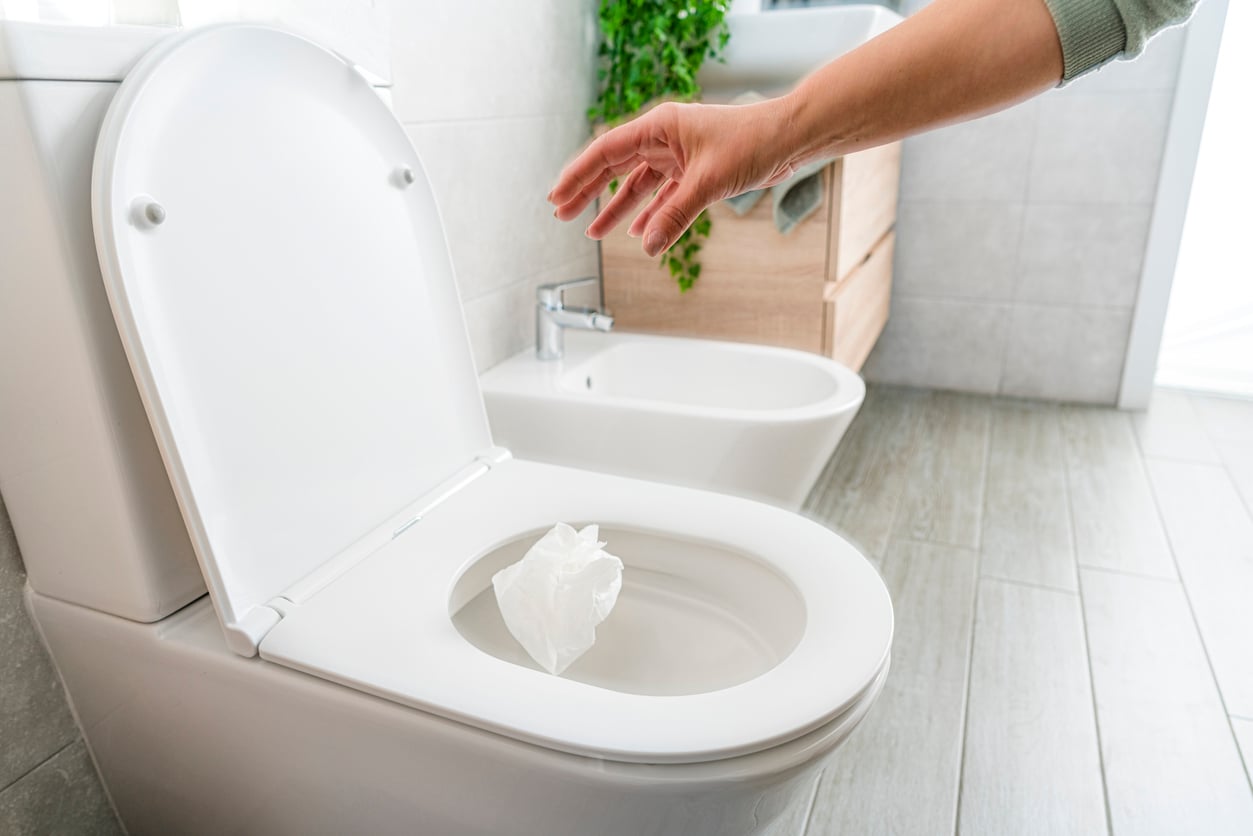 Jogar papel higiênico no vaso sanitário não é errado, mas exige atenção – iStock/fcafotodigital