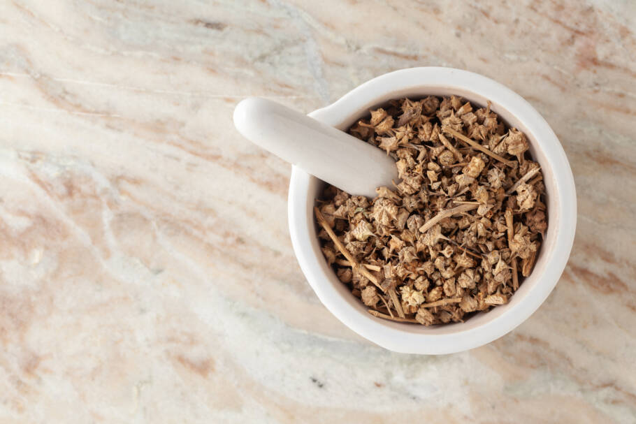 O Tribulus é metabolizado no fígado. Por isso, em doses altas — acima de 2 g por dia — ou em uso prolongado, pode gerar sobrecarga hepática