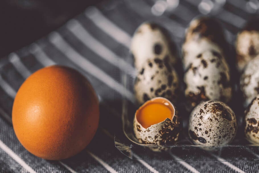 Os ovos de codorna são uma excelente opção nutritiva