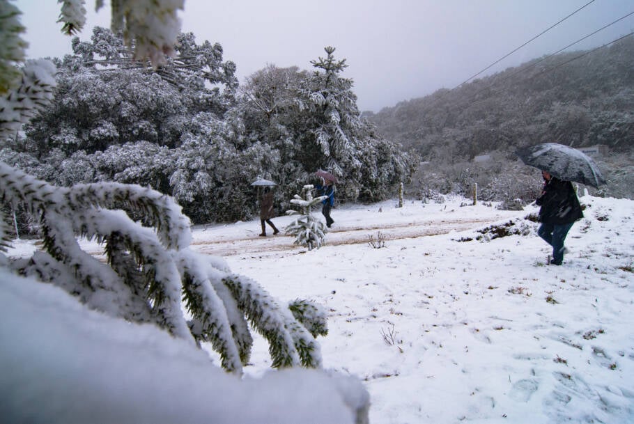 A última vez que nevou em Santa Catarina foi em agosto de 2024, em Urubici (foto) e Bom Jardim da Serra