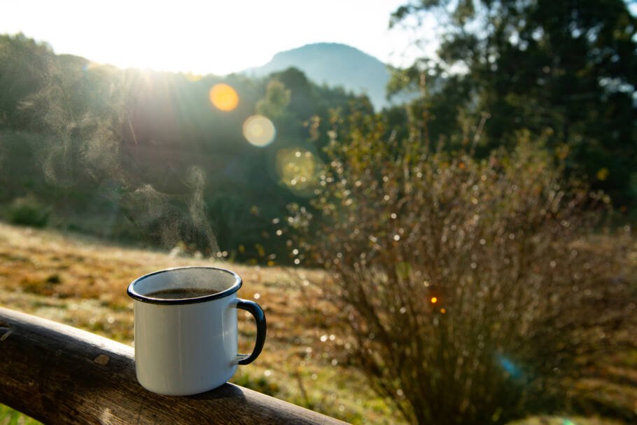 Um estudo robusto publicado no European Heart Journal avaliou dados de mais de 40.000 adultos e confirmou as afirmações do especialista