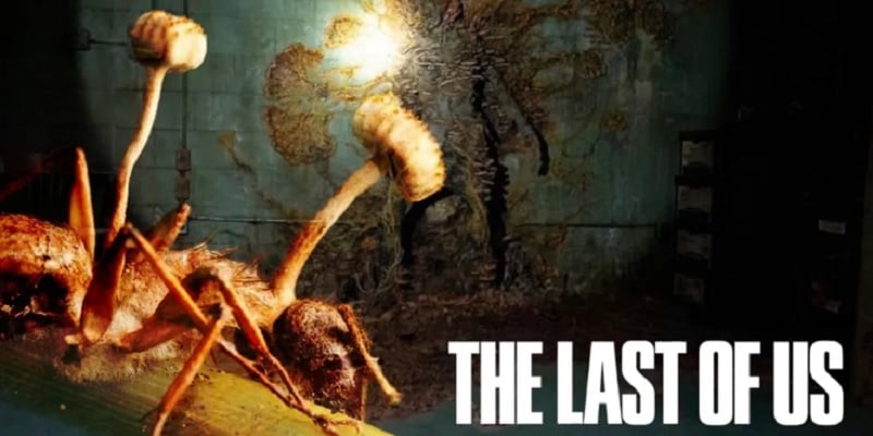 Série retrata mundo devastado por uma pandemia causada por um fungo – Warner Bros/Reprodução