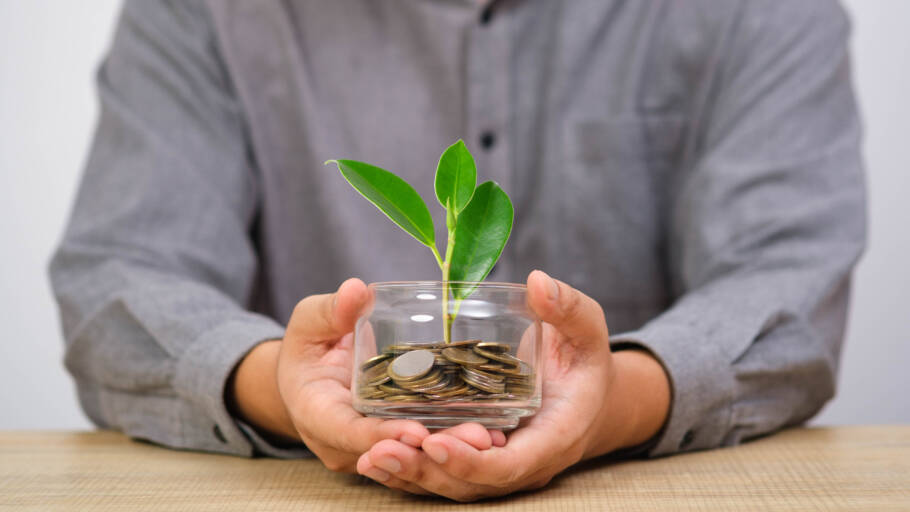 No pote da prosperidade deve conter objetos que remetam à riqueza