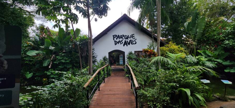 Parque das Aves abriga mais de 1.300 animais, a maioria proveniente do tráfico e maus tratos