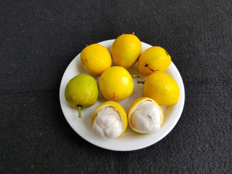 Bacuri, fruta regional