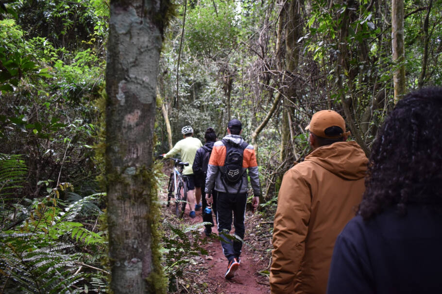 O Parque Nacional do Iguaçu conta ainda com outras trilhas para os aventureiros