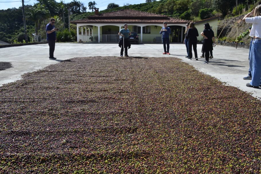 Tour revela como é o processo de produção do café, da colheita até o produto final