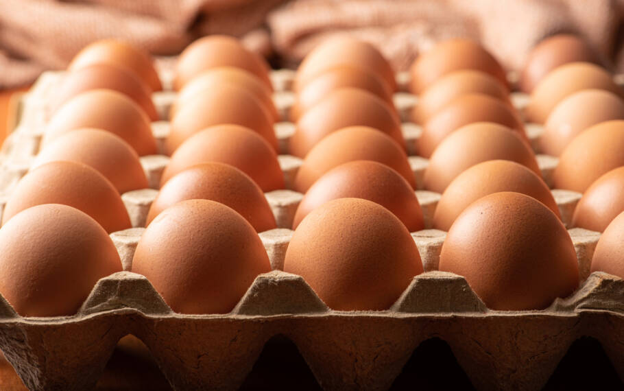 Apresentado na Sessão Científica Anual do American College of Cardiology, o estudo avaliou os efeitos de ovos fortificados — versões enriquecidas com nutrientes como ômega-3 e vitaminas essenciais