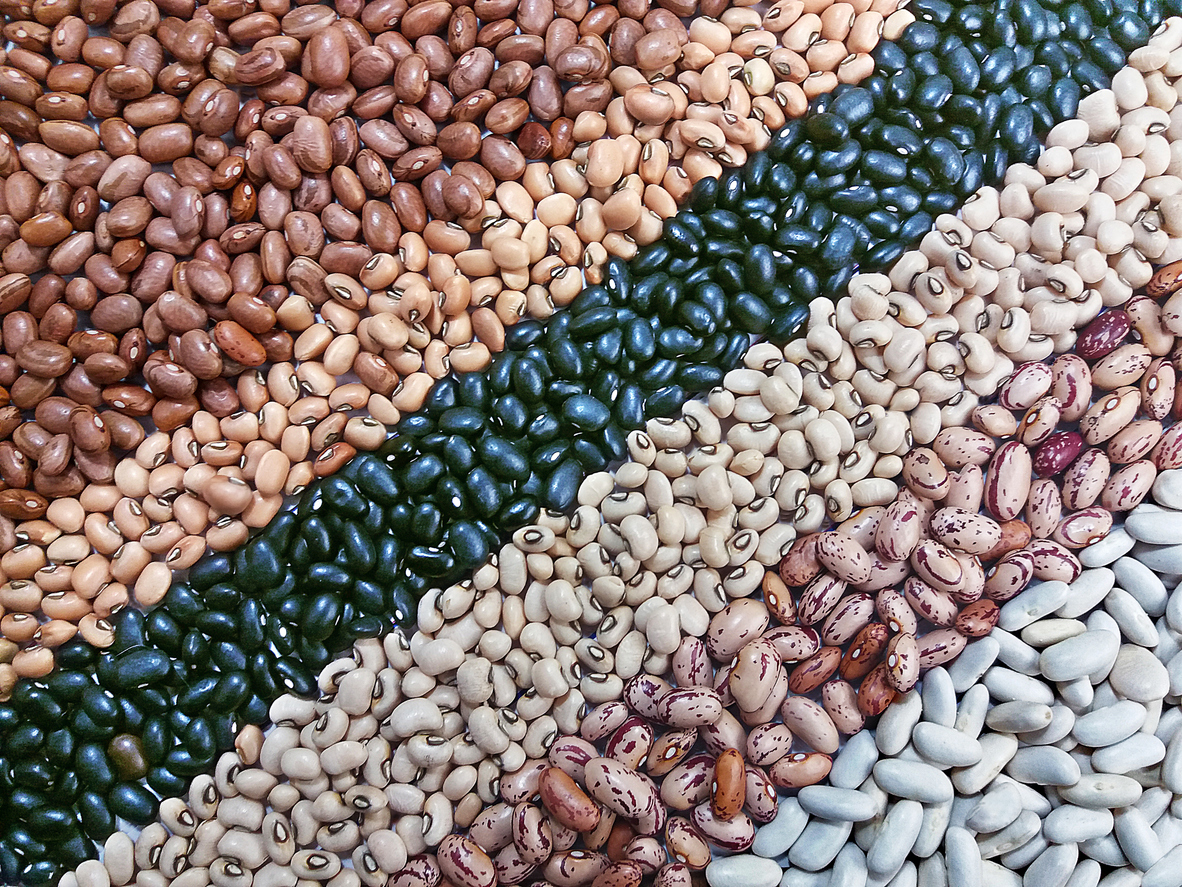 O estudo, conduzido pela Sociedade Americana de Nutrição, acompanhou 72 voluntários com pré-diabetes durante 12 semanas