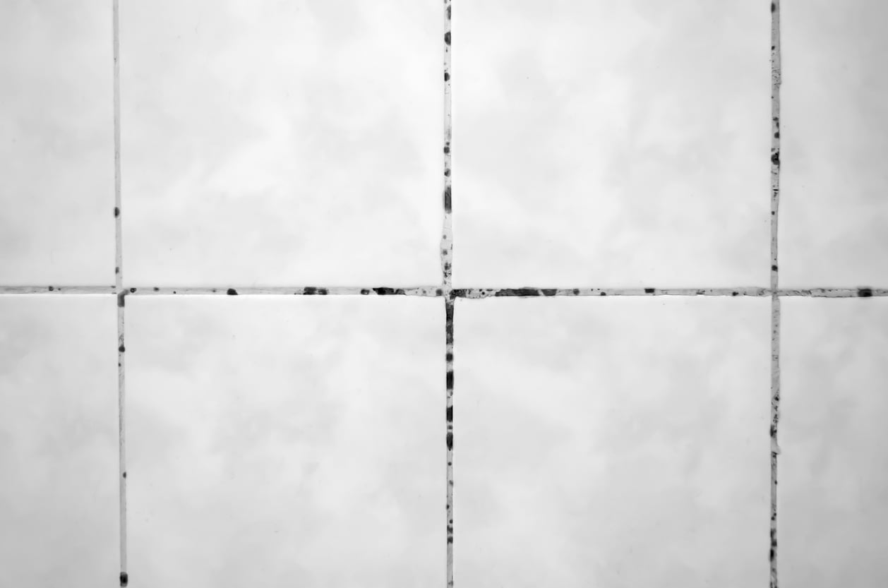 Com esses cuidados simples, os rejuntes voltam a ter aparência limpa e clara, e o ambiente ganha um novo frescor – iStock/K1tyara