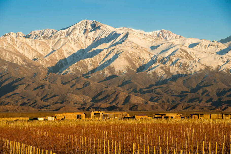 Mendoza é reconhecida por sua forte identidade vitivinícola