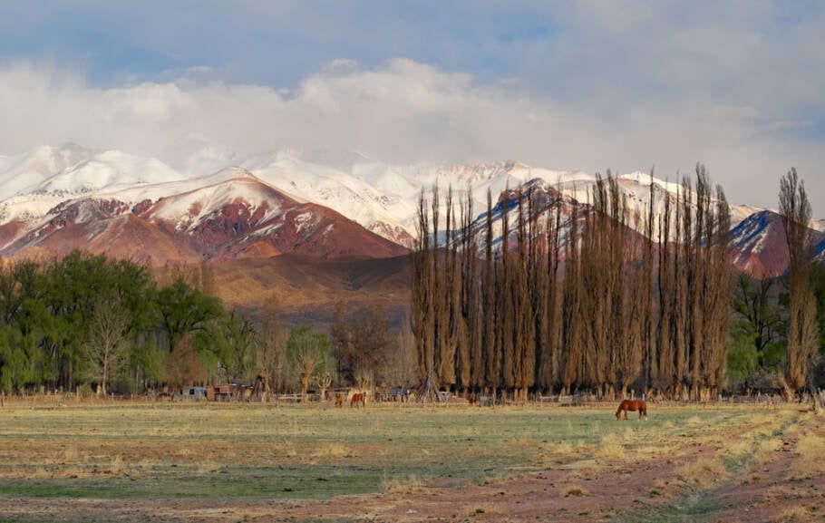 Mendoza, com a Cordilheira dos Andes ao fundo, na Argentina