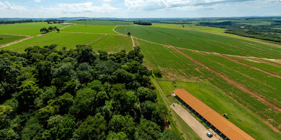 Com um ano de duração, o curso técnico gratuito prepara os alunos para atuarem no mercado de trabalho