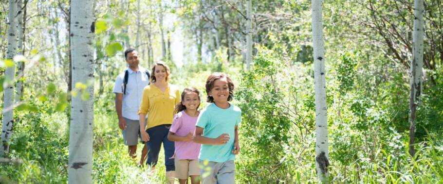 São mais de 720 quilômetros de trilhas que passam pelos bosques de Park City