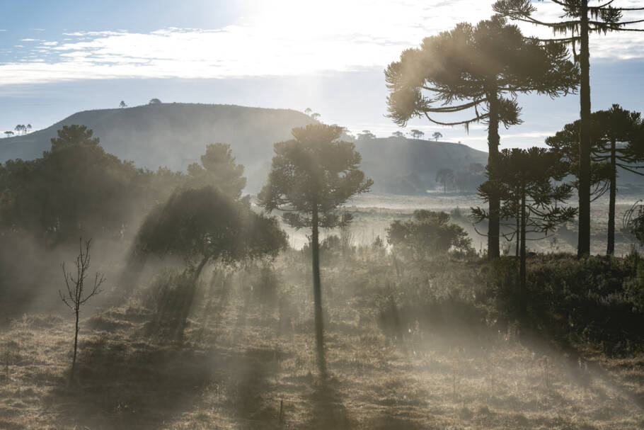 Esqueça a praia e descubra lugares brasileiros perfeitos para curtir o inverno com aquele clima de montanha