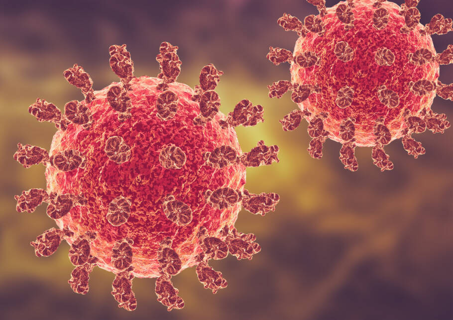 Dois henipavírus chamaram a atenção por sua proximidade genética com os vírus já conhecidos por causar encefalite e doenças respiratórias severas