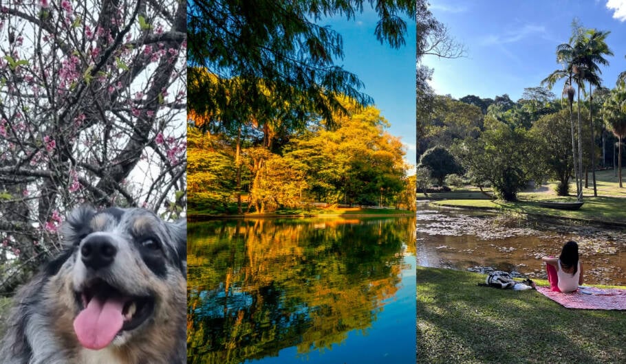 Lugares ao ar livre para passear com crianças em SP