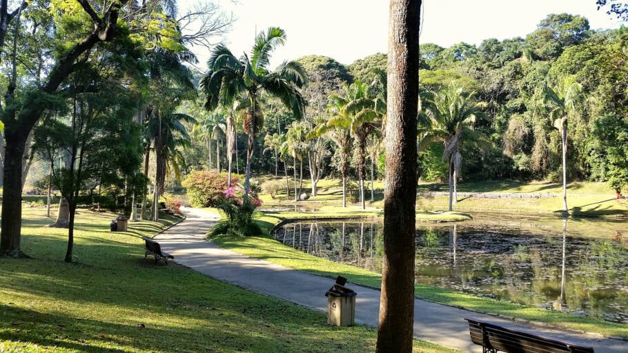 O Jardim Botânico representa um respiro em meio ao caos urbano