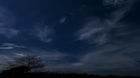 Reprodução/TV Globo