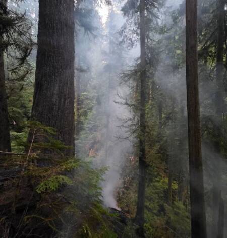 Foto da Guarda Floresta Americana mostra árvore gigante pegando fogo